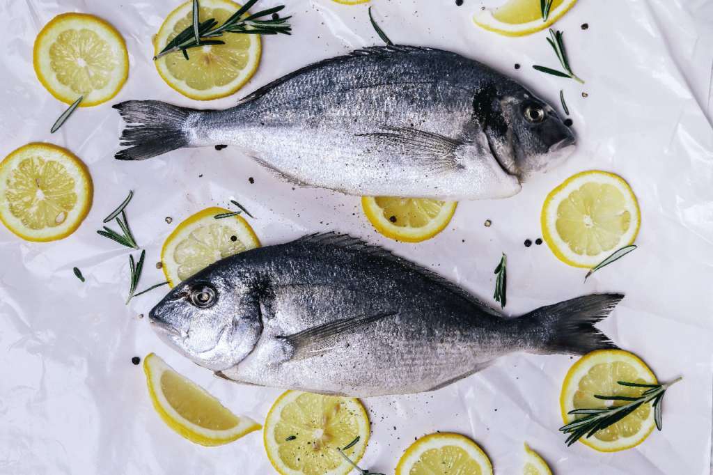 Jaké výhody má rybí olej?