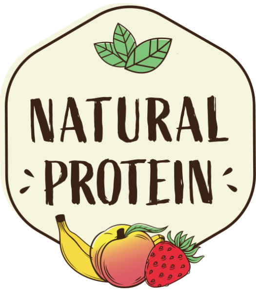 naturalprotein.cz logo