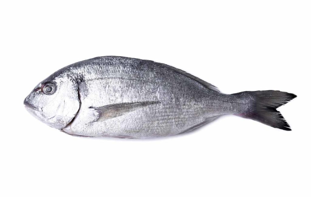 Keto dieta - povolené potraviny ryby
