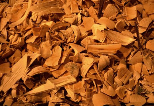 NEjlepší santalové dřevo - recenze a účinky