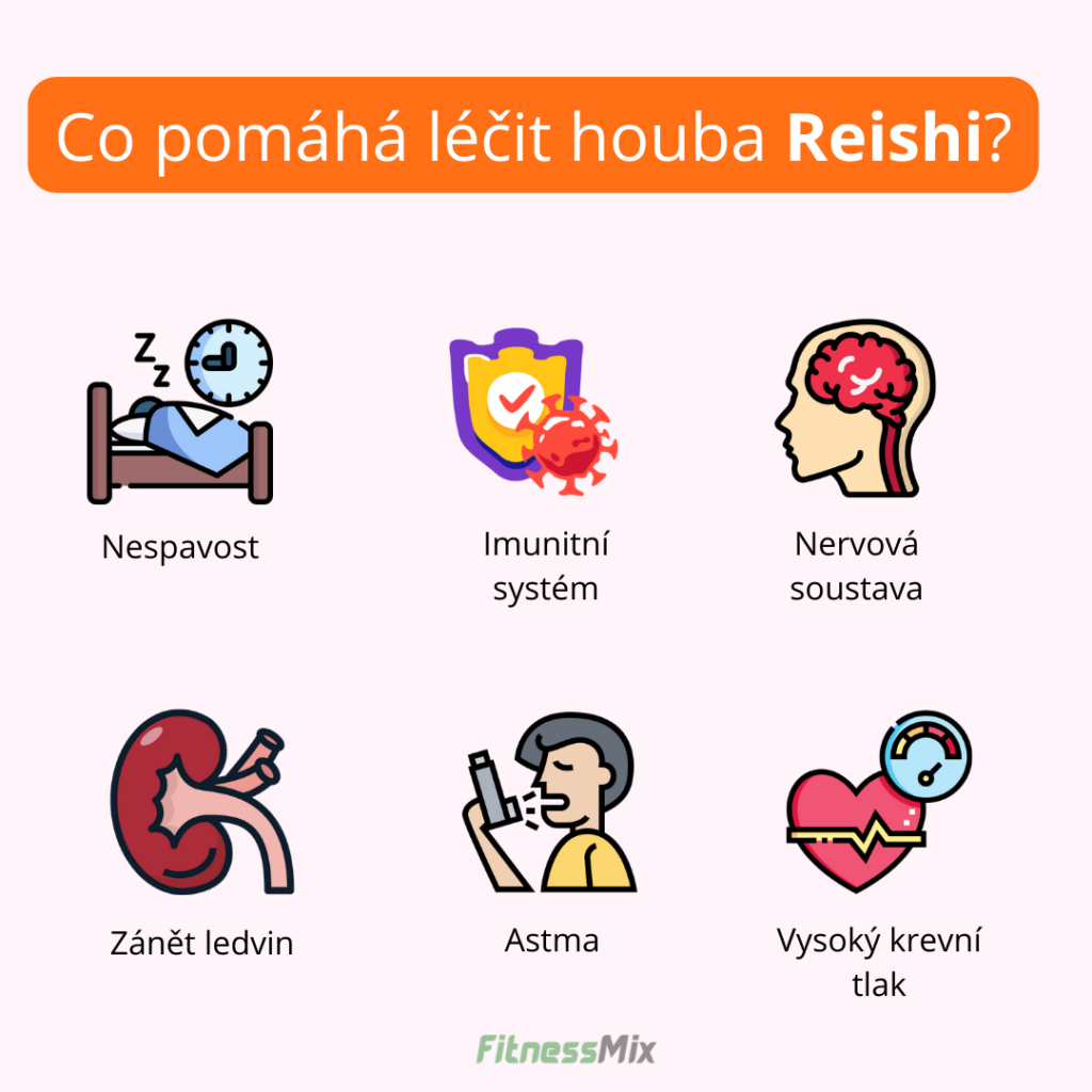 Co pomáhá léčit houba Reishi?