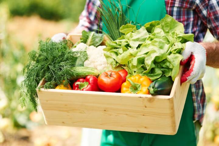 Jezte více zeleniny při dietě