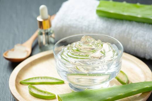 Aloe vera pomáhá na svědění kůže